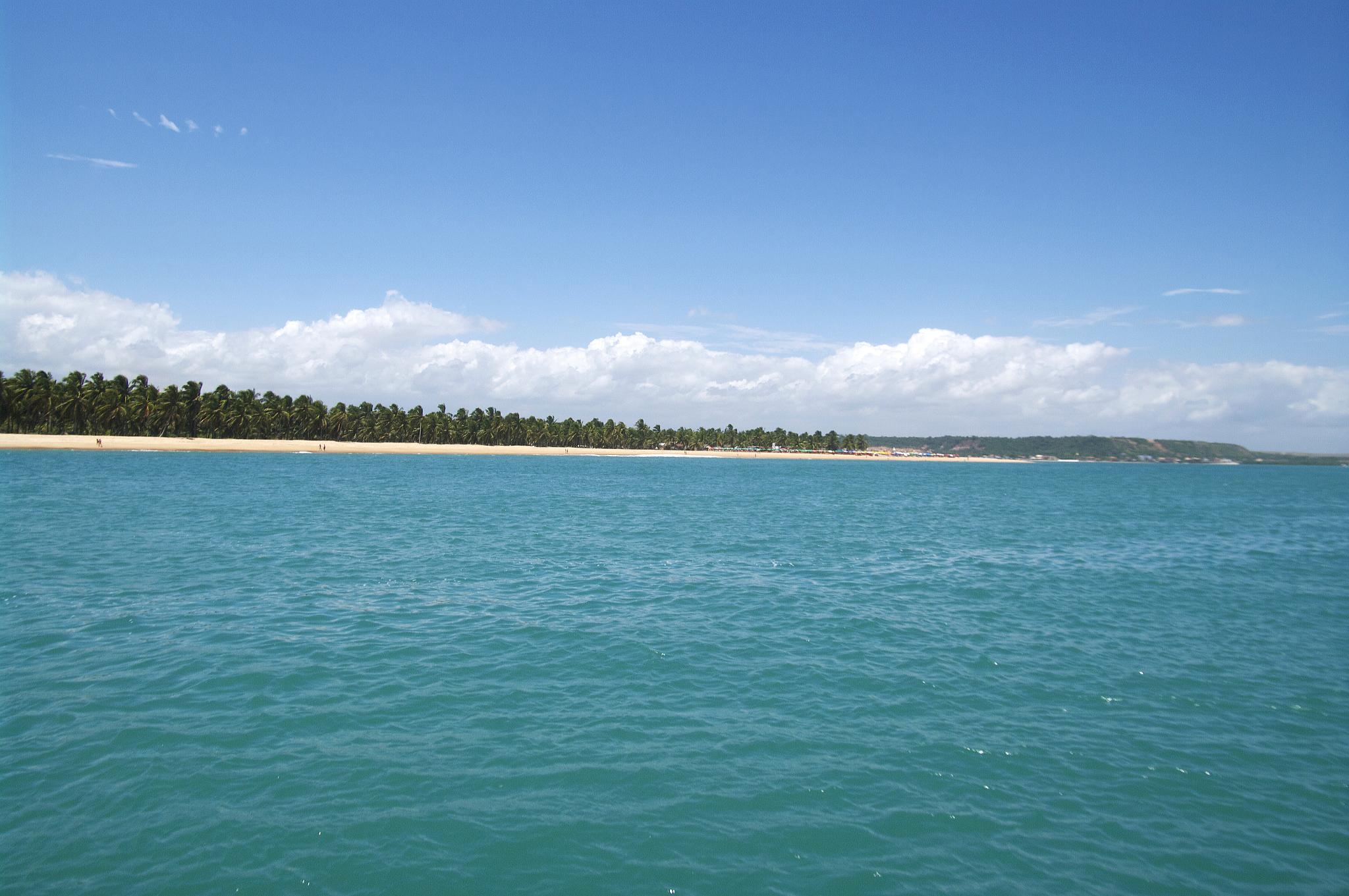 Barra de S. Miguel + Praia do Gunga