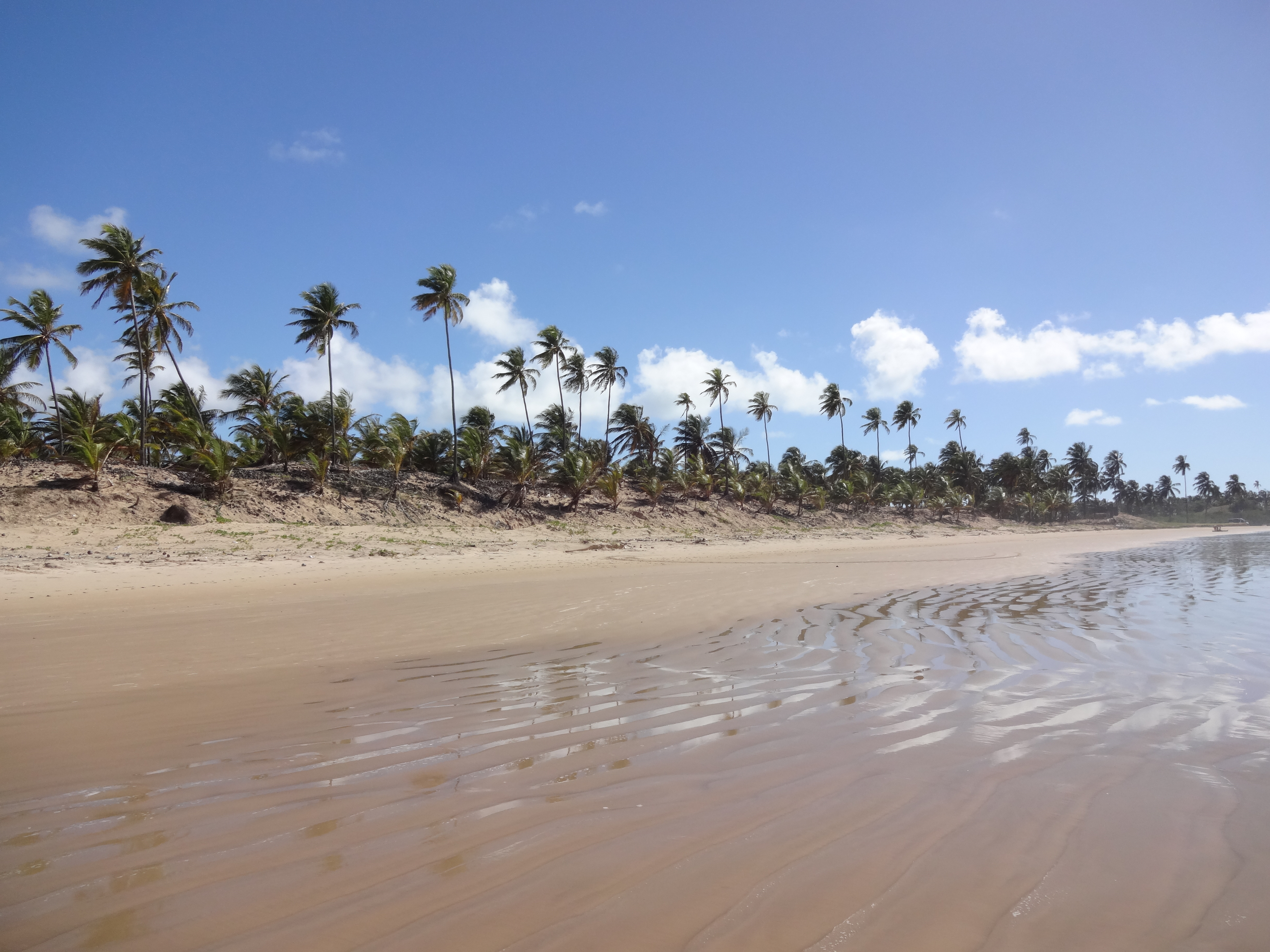 Foz do Rio São Francisco