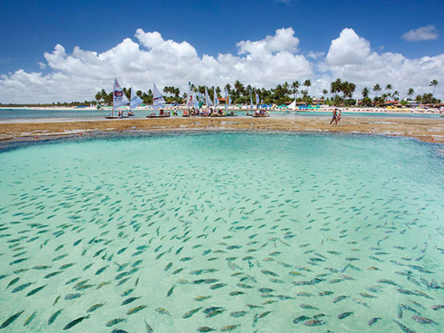 Porto de Galinhas (PE)