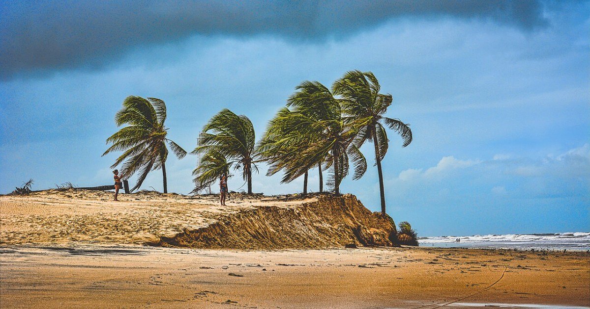Foz do Rio São Francisco: o encontro do rio com o mar em Alagoas