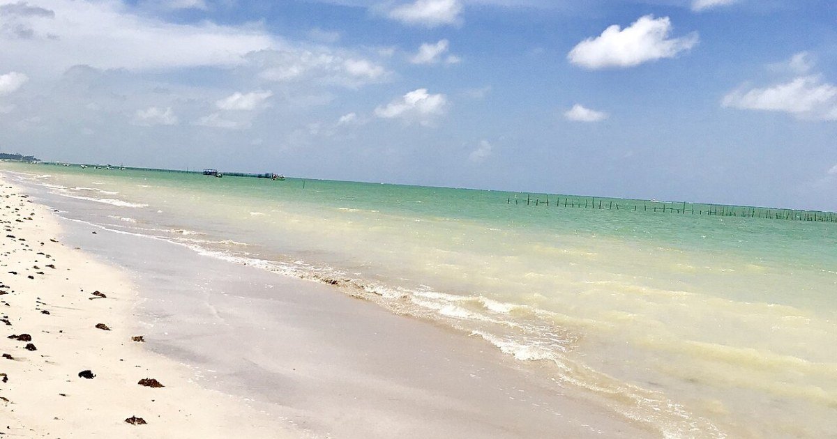 Melhor época para visitar Alagoas: clima, marés e dicas de viagem